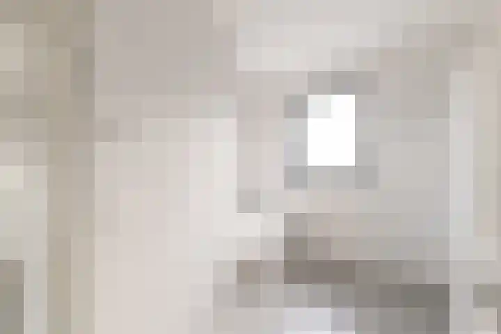 IJsvogel 4 Muiden thumbnail 24