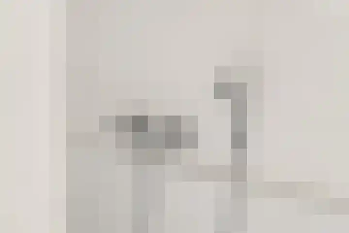 IJsvogel 4 Muiden thumbnail 25