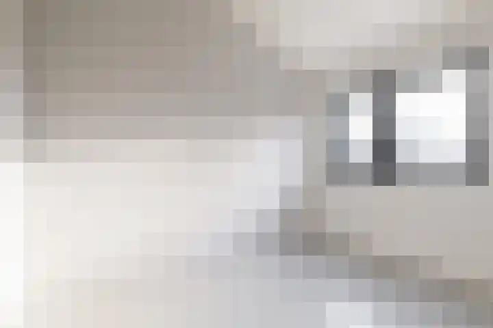 IJsvogel 4 Muiden thumbnail 26