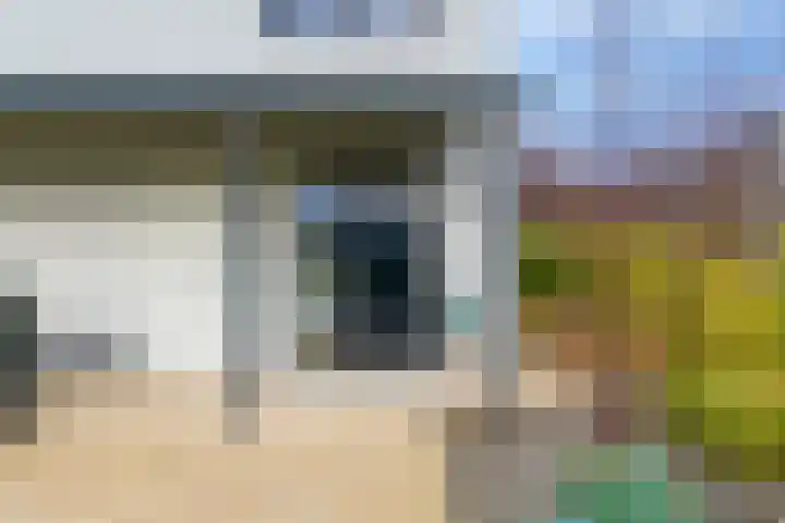 IJsvogel 4 Muiden thumbnail 27
