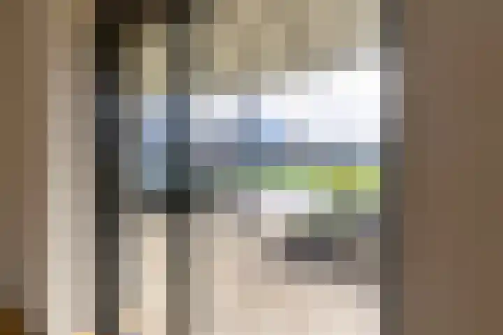 IJsvogel 4 Muiden thumbnail 28