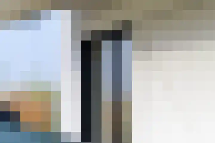 IJsvogel 4 Muiden thumbnail 29