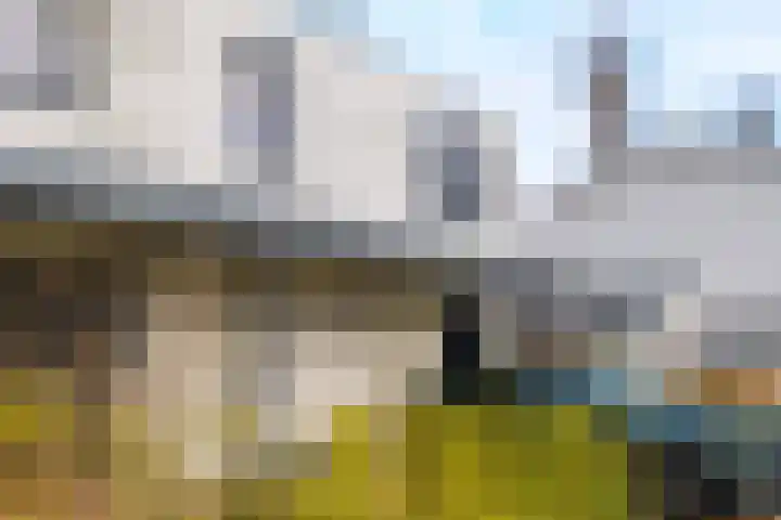 IJsvogel 4 Muiden thumbnail 30