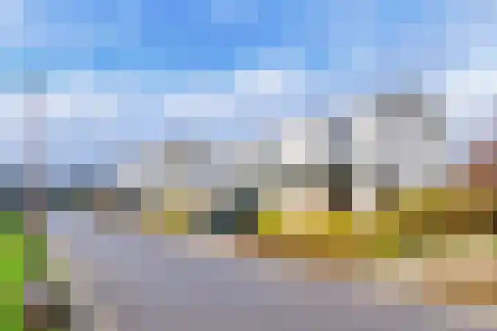 IJsvogel 4 Muiden thumbnail 31