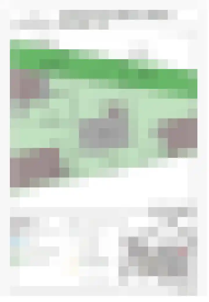 IJsvogel 4 Muiden thumbnail 39