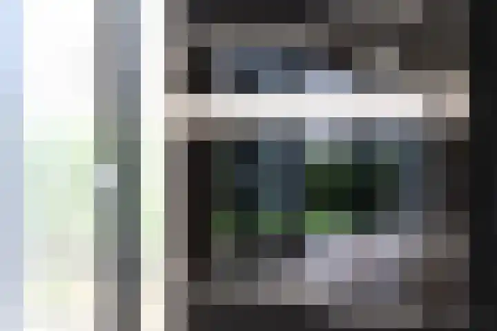 IJsvogel 4 Muiden thumbnail 4
