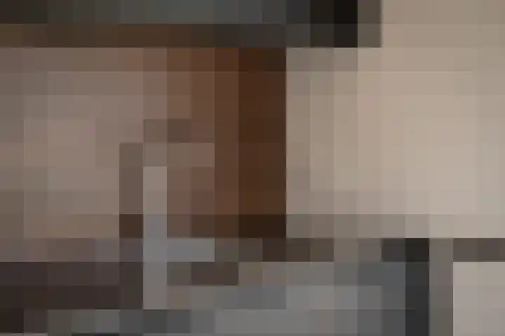 IJsvogel 4 Muiden thumbnail 5
