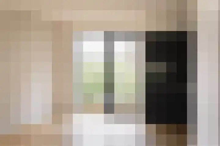 IJsvogel 4 Muiden thumbnail 6