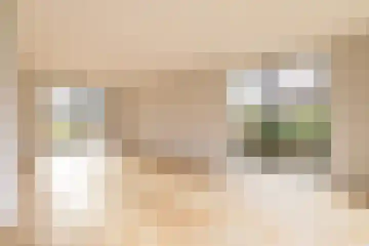 IJsvogel 4 Muiden thumbnail 7