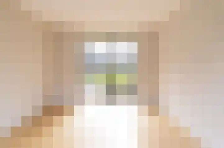 IJsvogel 4 Muiden thumbnail 8