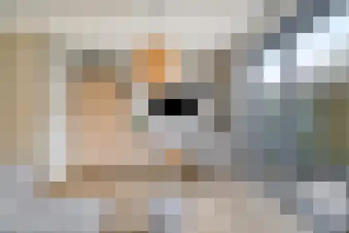 IJsvogel 4 't Harde thumbnail 11