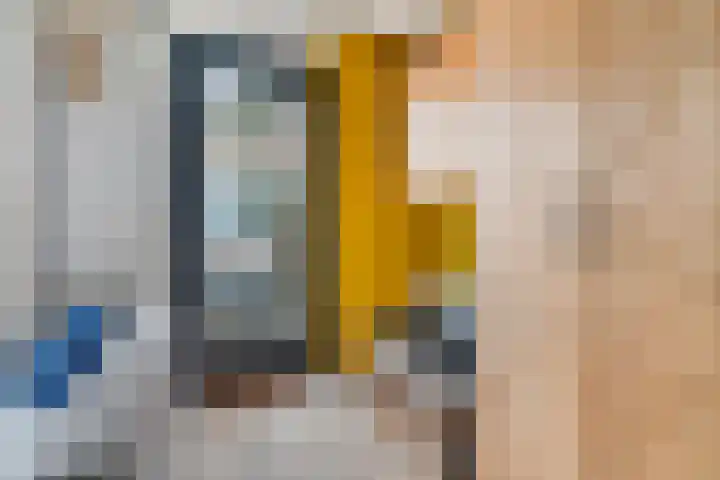 IJsvogel 4 't Harde thumbnail 13