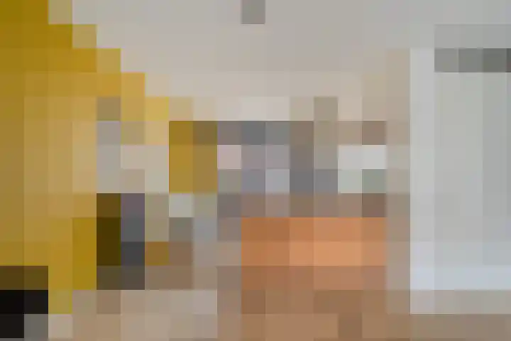 IJsvogel 4 't Harde thumbnail 15