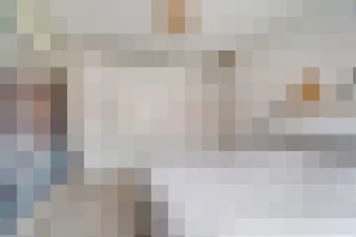 IJsvogel 4 't Harde thumbnail 23