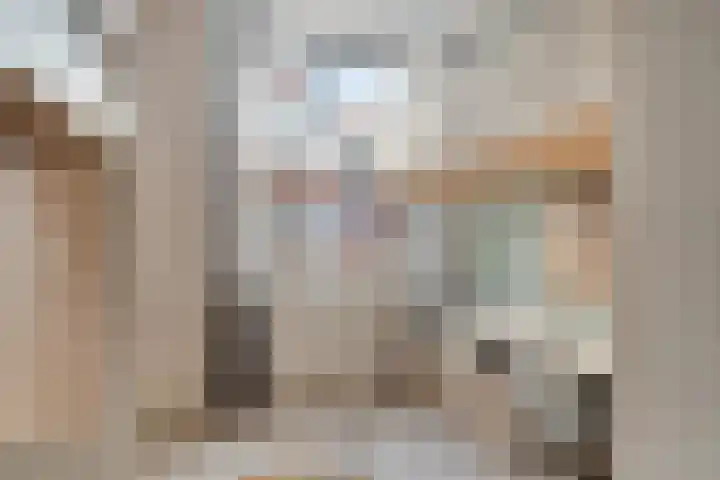 IJsvogel 4 't Harde thumbnail 26