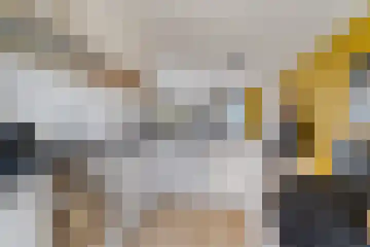 IJsvogel 4 't Harde foto 3