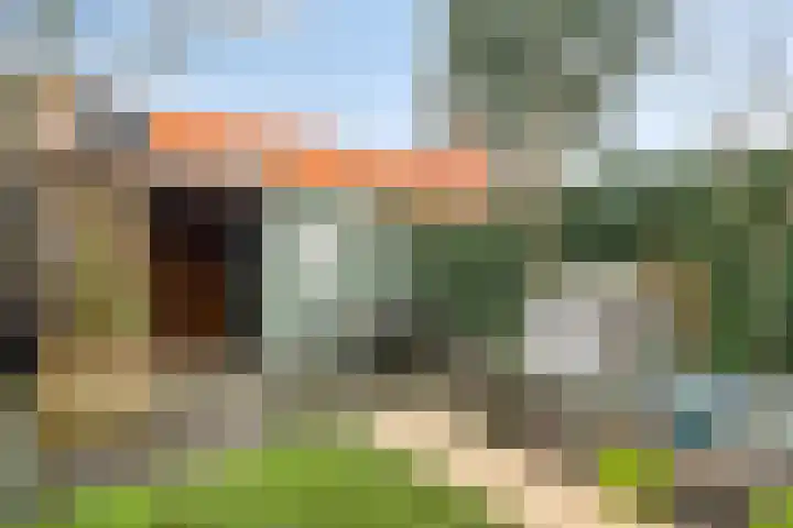 IJsvogel 4 't Harde thumbnail 34