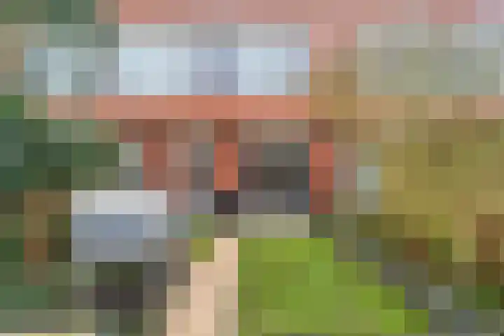 IJsvogel 4 't Harde thumbnail 36