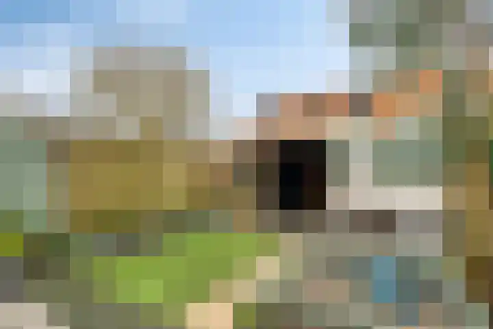 IJsvogel 4 't Harde thumbnail 4