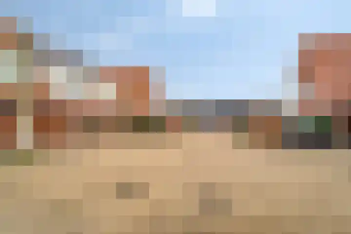 IJsvogel 4 't Harde thumbnail 42