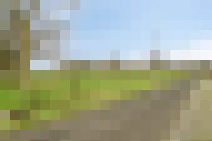 IJsvogel 4 't Harde thumbnail 43