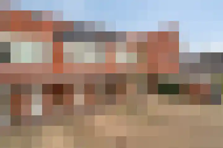 IJsvogel 4 't Harde thumbnail 5