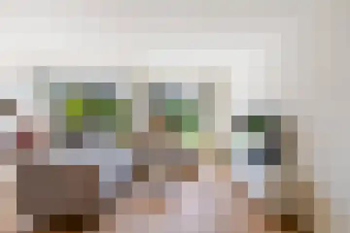 IJsvogel 41 Maarssen thumbnail 11