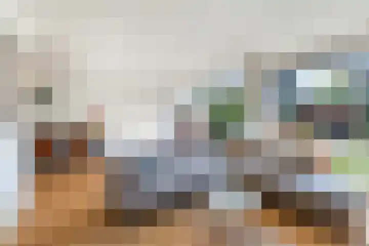IJsvogel 41 Maarssen thumbnail 12