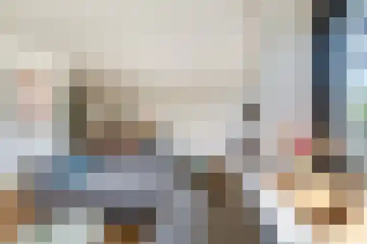 IJsvogel 41 Maarssen thumbnail 13