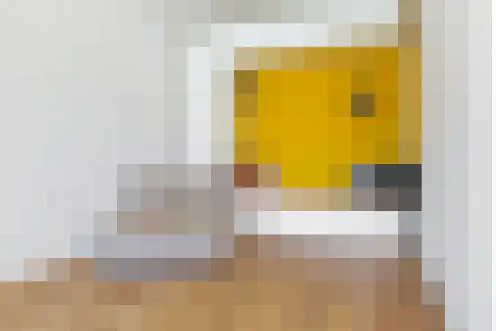 IJsvogel 41 Maarssen thumbnail 15