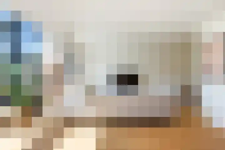 IJsvogel 41 Maarssen thumbnail 18