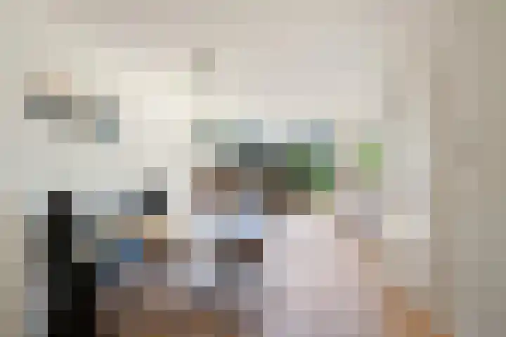 IJsvogel 41 Maarssen thumbnail 19