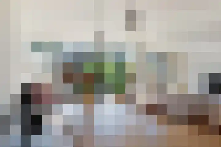 IJsvogel 41 Maarssen thumbnail 21