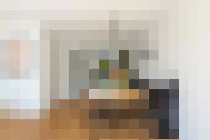 IJsvogel 41 Maarssen thumbnail 22