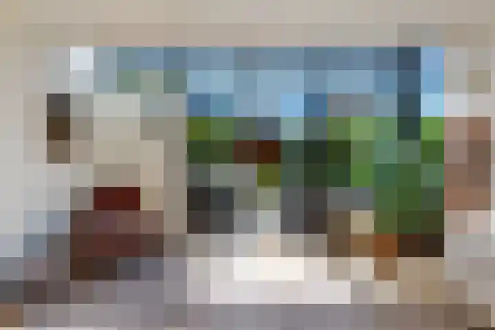 IJsvogel 41 Maarssen thumbnail 23