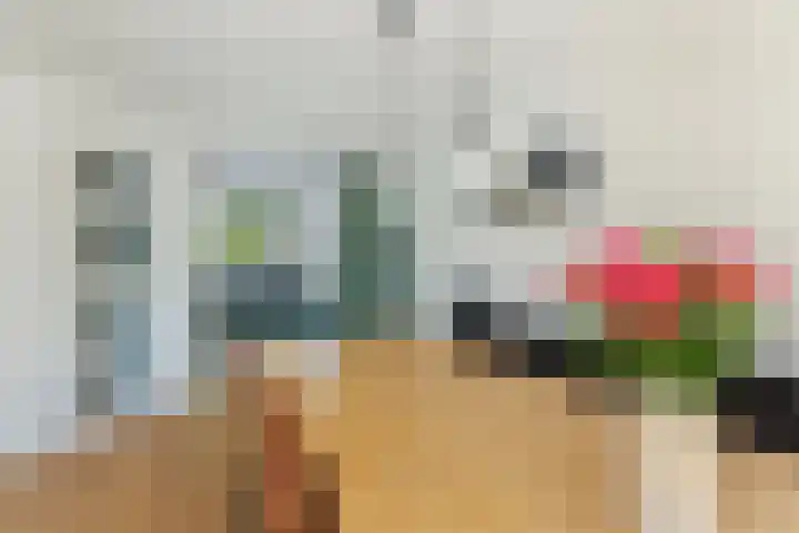 IJsvogel 41 Maarssen thumbnail 24