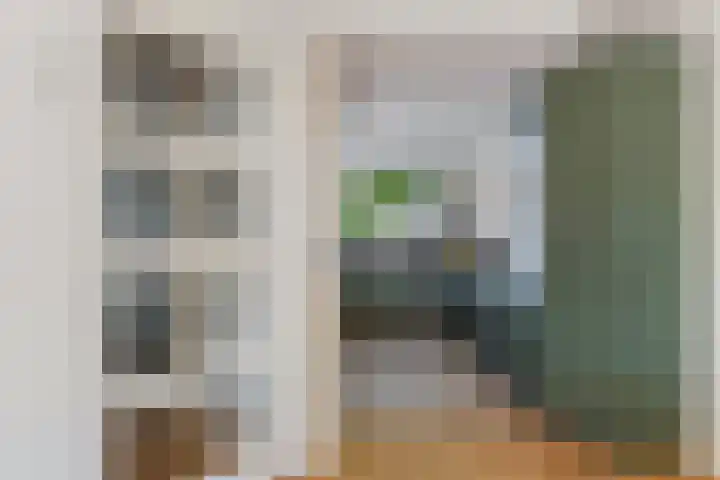 IJsvogel 41 Maarssen thumbnail 25