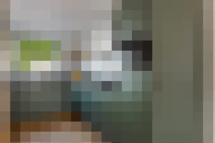 IJsvogel 41 Maarssen thumbnail 26