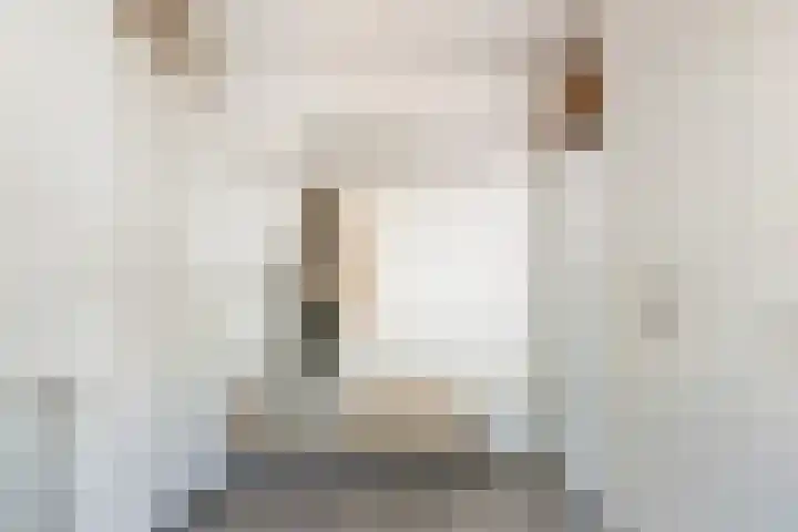 IJsvogel 41 Maarssen thumbnail 28
