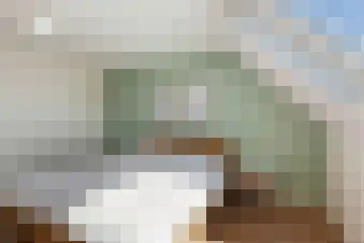 IJsvogel 41 Maarssen thumbnail 29
