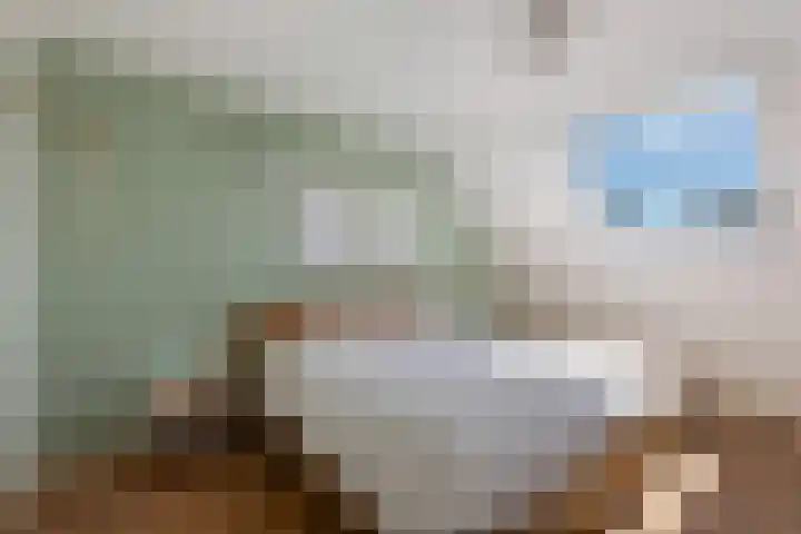 IJsvogel 41 Maarssen thumbnail 30