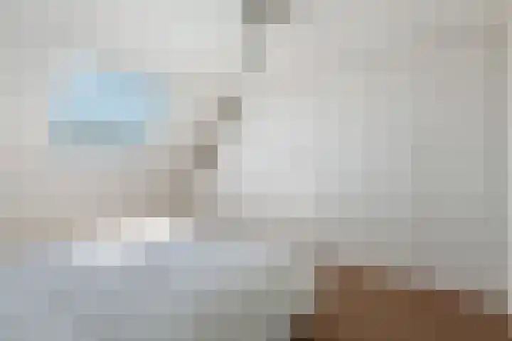 IJsvogel 41 Maarssen thumbnail 31