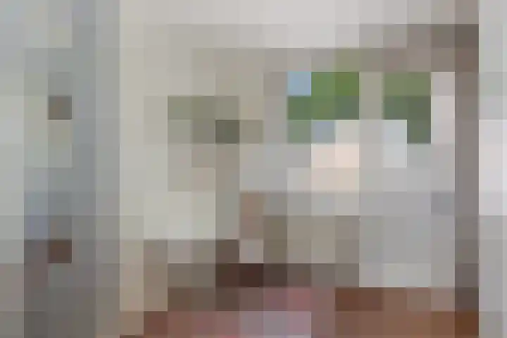 IJsvogel 41 Maarssen thumbnail 36