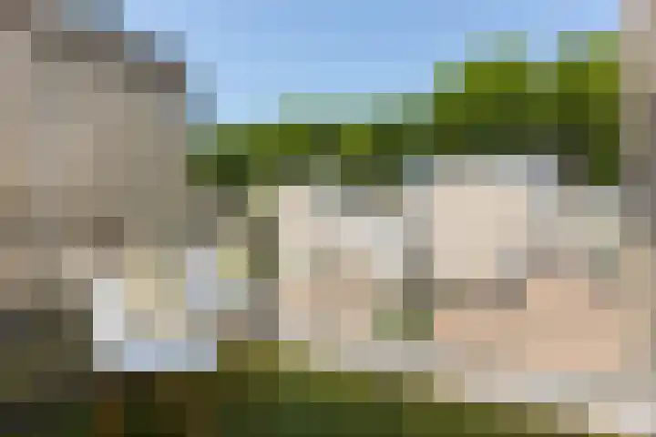 IJsvogel 41 Maarssen thumbnail 37