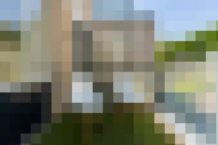 IJsvogel 41 Maarssen thumbnail 38
