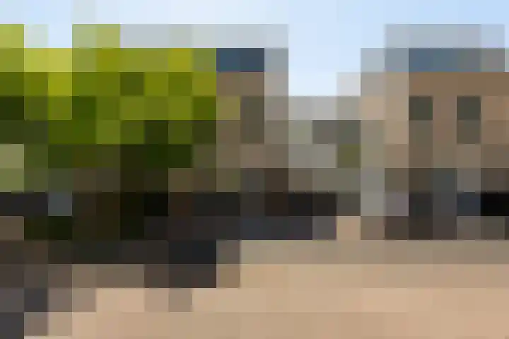 IJsvogel 41 Maarssen thumbnail 4