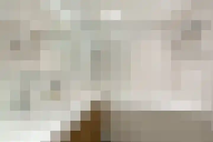 IJsvogel 41 Maarssen thumbnail 40