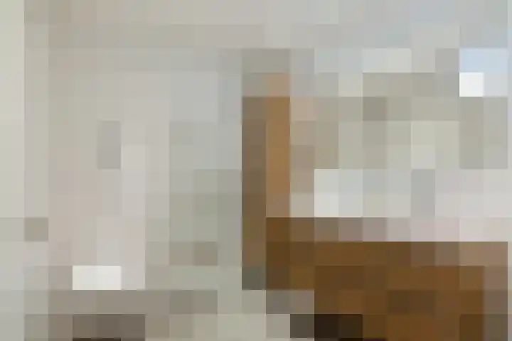 IJsvogel 41 Maarssen thumbnail 41