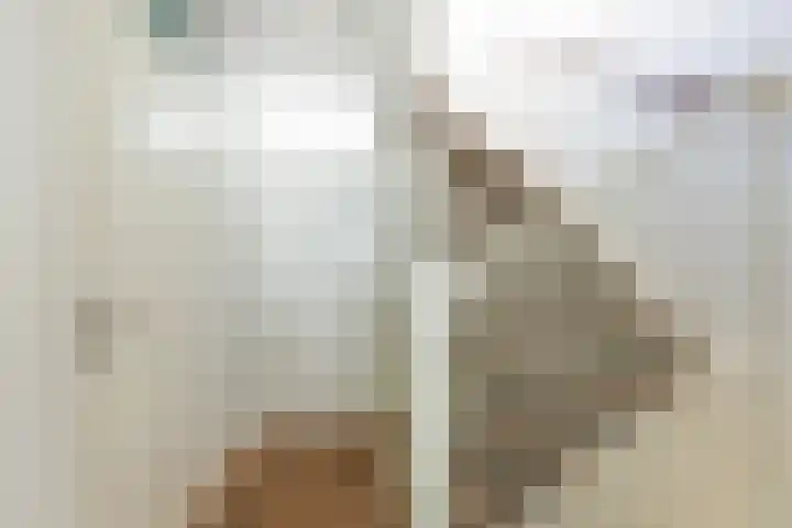 IJsvogel 41 Maarssen thumbnail 42