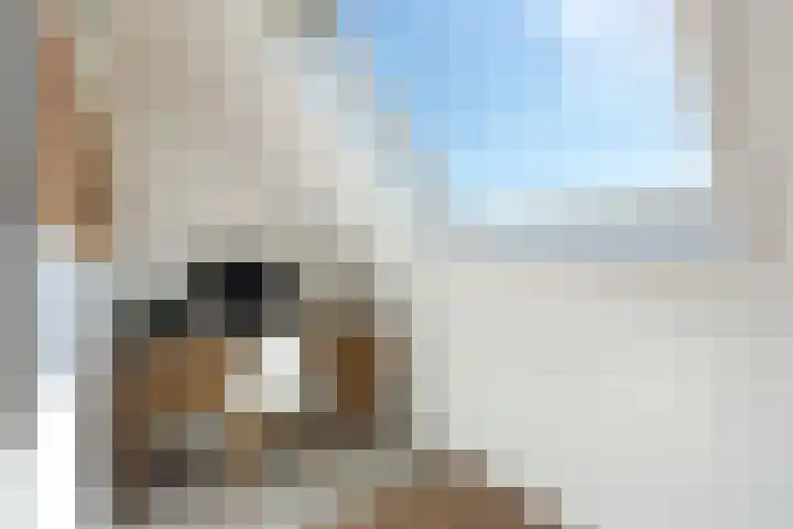 IJsvogel 41 Maarssen thumbnail 43